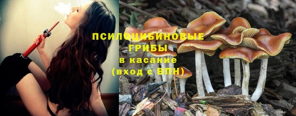 MDMA Белокуриха